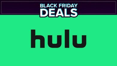 Ganhe um ano inteiro de Hulu por apenas US $ 12 com esta excelente oferta de streaming da Black Friday