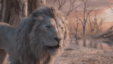 Mufasa: ‘Bye Bye’ do Rei Leão é uma tragédia para as canções dos vilões da Disney