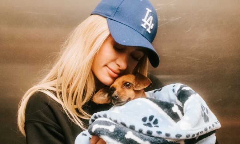 Paris Hilton arrecada US$ 800 mil para o Wildfire Relief Fund da GoFundMe