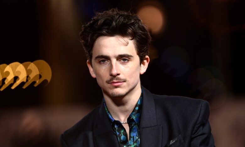 Timothee Chalamet andou de bicicleta para a estreia de 'A Complete Unknown' e foi multado