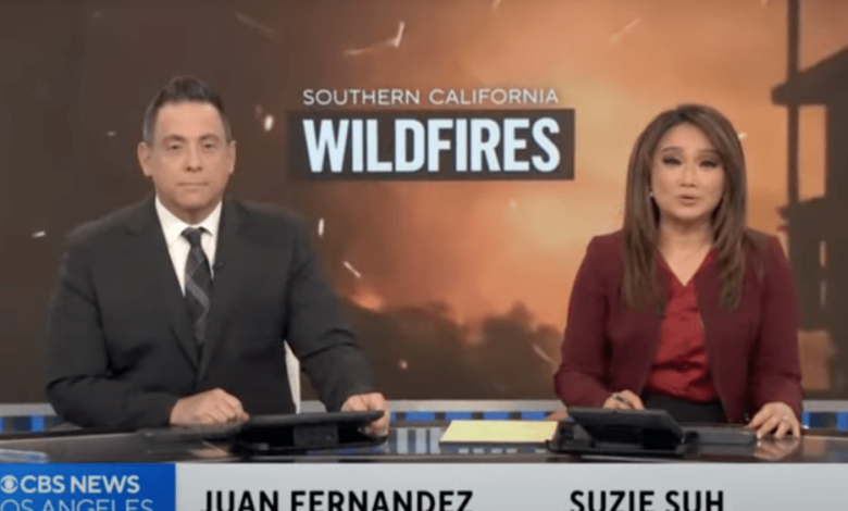 Incêndios em Los Angeles provaram a necessidade de notícias locais em uma era de mentiras nas mídias sociais