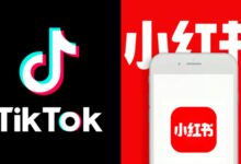 lawyer-warns-tiktok-alternative-apps-xiaohongshu-rednote-lemon8-possible-ban-precedent