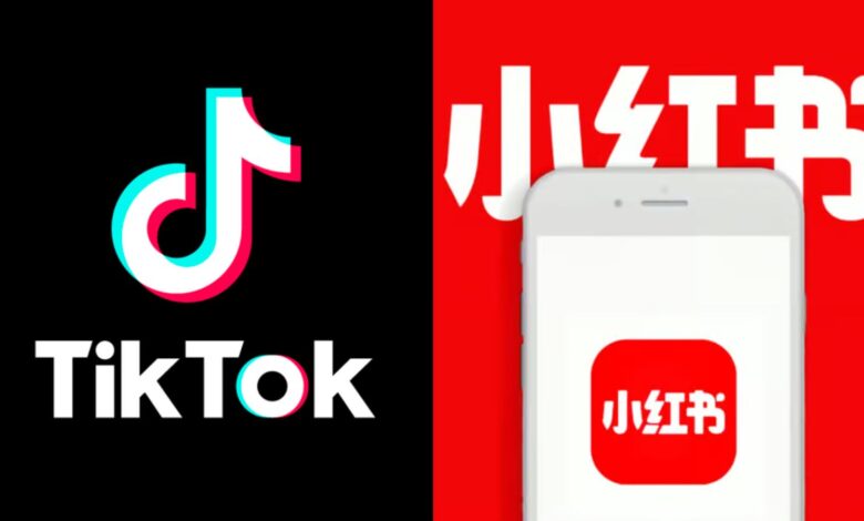 lawyer-warns-tiktok-alternative-apps-xiaohongshu-rednote-lemon8-possible-ban-precedent