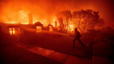 Airbnb oferece moradia temporária para residentes de Los Angeles afetados por incêndios florestais