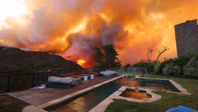 Anúncio ao vivo de nomeações para o prêmio SAG cancelado devido ao incêndio em Palisades