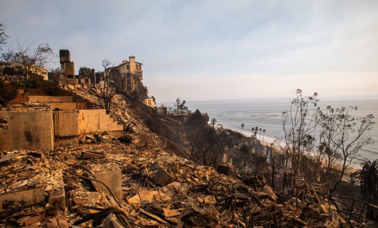 Disney doa US$ 15 milhões para esforços de combate a incêndios florestais em Los Angeles