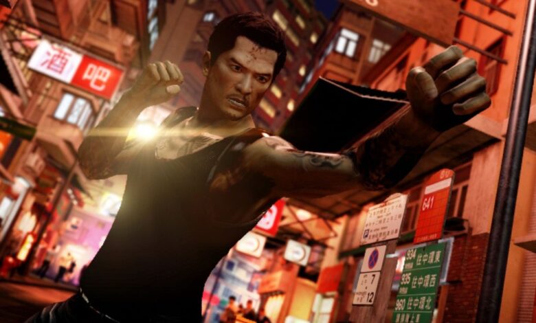 Donnie Yen compartilha atualização decepcionante sobre o filme Sleeping Dogs