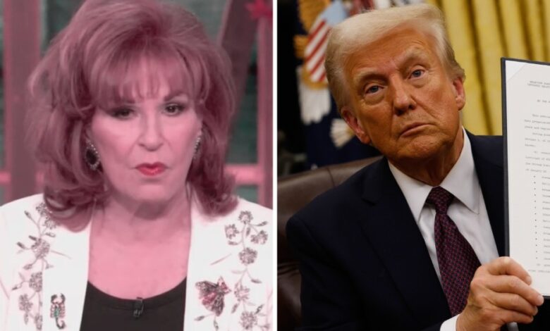 Joy Behar e 'The View' apresentam discurso de posse de Slam Trump