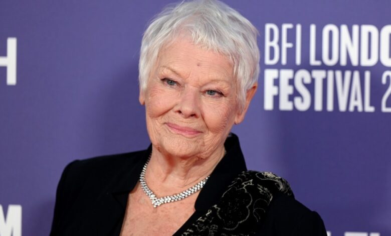 Judi Dench diz que não pode participar de eventos sozinha devido à deficiência visual