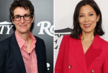 MSNBC tem novas funções para Rachel Maddow e Alex Wagner no início da Trump Run