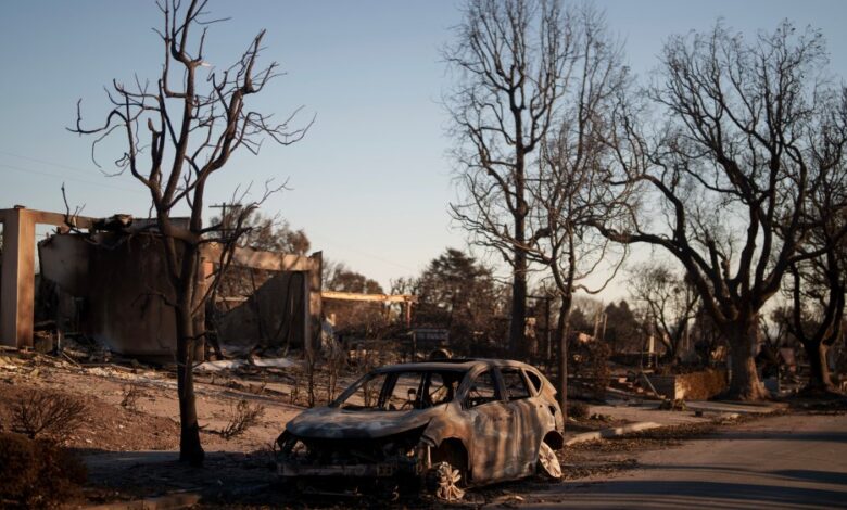 Marilyn e Jeffrey Katzenberg doam US$ 5 milhões para combate a incêndios