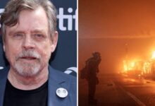 Mark Hamill evacuou Malibu 'de última hora' durante incêndios em Los Angeles