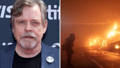 Mark Hamill evacuou Malibu 'de última hora' durante incêndios em Los Angeles