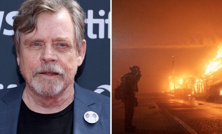 Mark Hamill evacuou Malibu 'de última hora' durante incêndios em Los Angeles