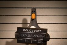 O novo filme Wallace & Gromit da Netflix faz de Feathers McGraw o herói