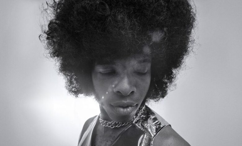 Sly Stone Doc de Questlove é deslumbrante e definitivo