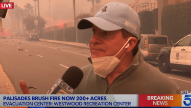 KTLA, Steve Guttenberg