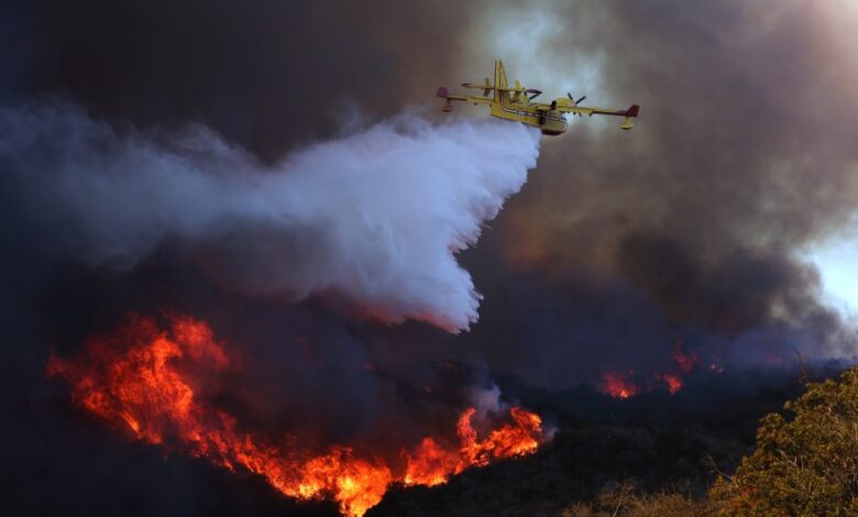 Todas as estreias e eventos de Hollywood cancelados devido a incêndios em Los Angeles