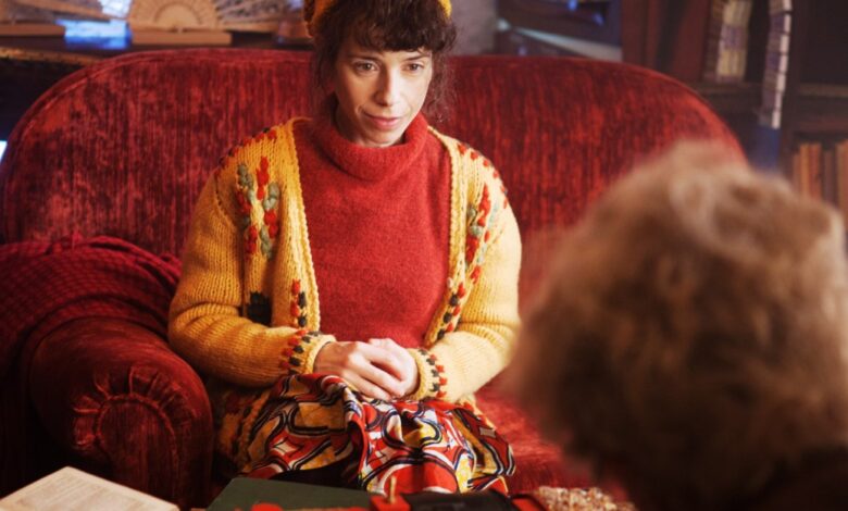 Sem Sally Hawkins, os filmes de Paddington perderam seu coração espancado