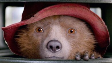 'Paddington no Peru' se aproxima de US $ 100 milhões